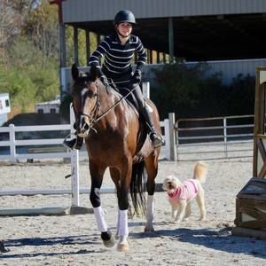 Meet your Posher, Riley